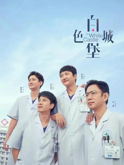 唱片行货架上按片种重新排列的动画电影卡片